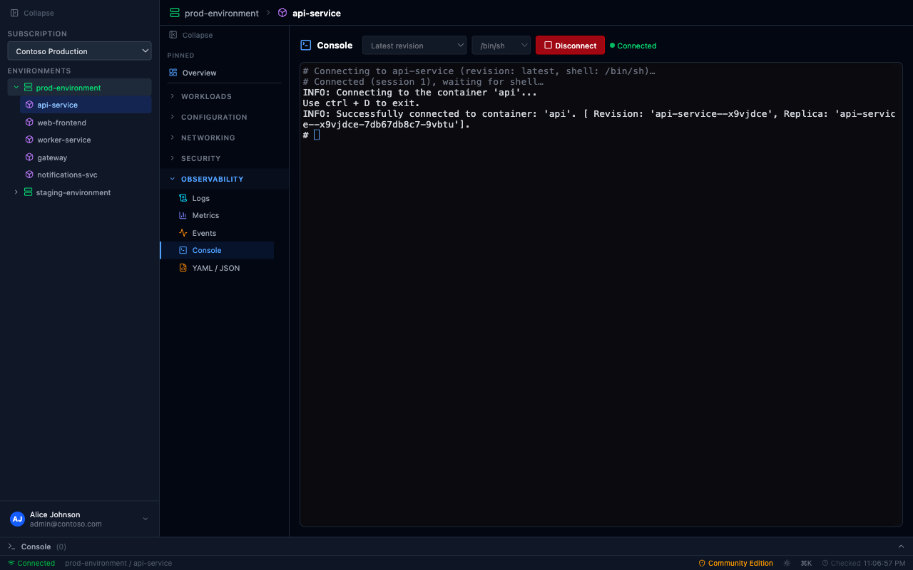 AcaLens — Interactive shell console connected to a running container replica